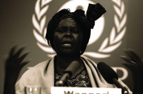 Rocky Road: Wangari Maathai