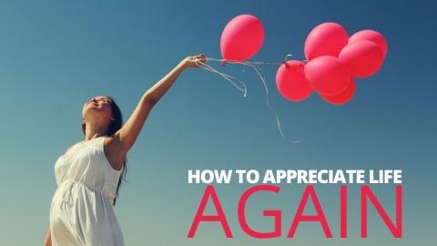How to Appreciate Life Again by Dennis Do