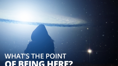 Dear LOA: What’s The Point Of Being Here? by Melody Fletcher