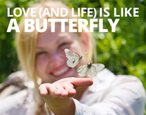 Love (and life) is like a butterfly by Miranda Leslau
