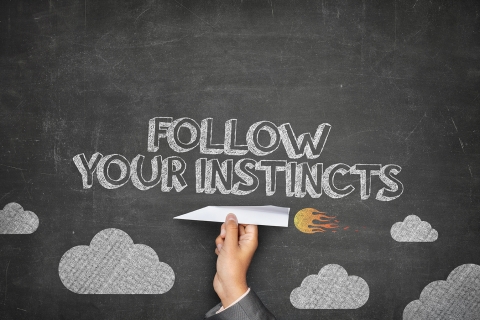Follow your instincts by Malcolm Levene