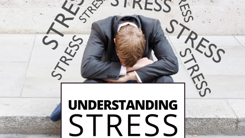 Understanding stress by Benjamin Bonetti