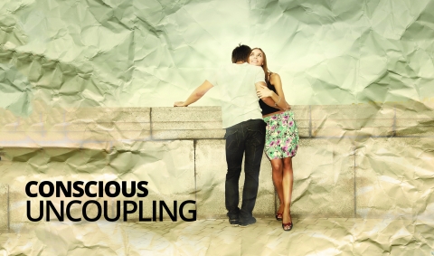 Conscious Uncoupling by Janet Murray