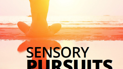 Sensory pursuits by Sam Red