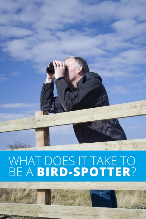 What does it take to be a bird-spotter?