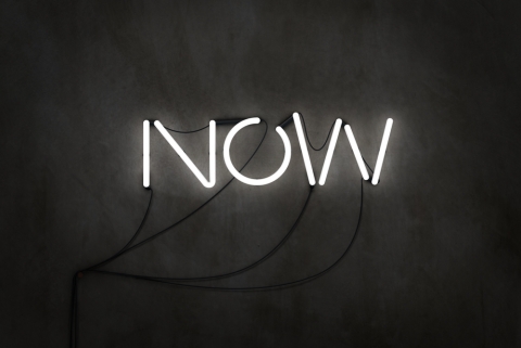 Now What? By Noel Plaugher