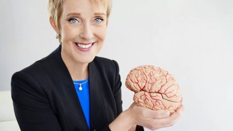 Meet Your Future Brain