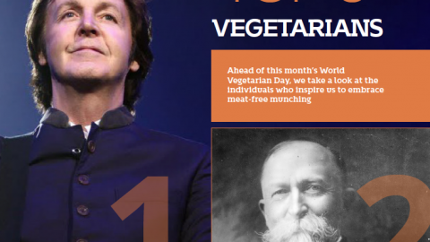Top 6 vegetarians by The Best You