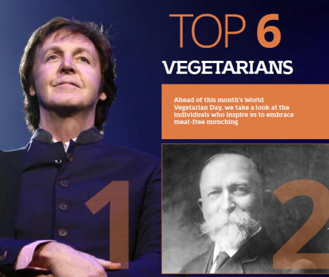 Top 6 vegetarians by The Best You