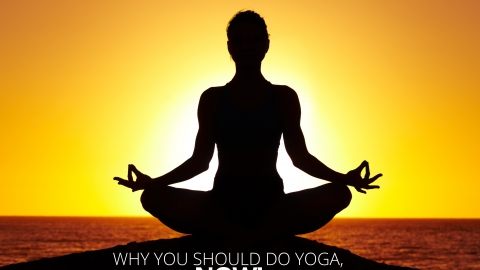 Why You Should Do Yoga, Now! by The Best You