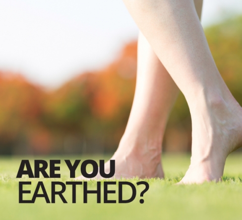 Are you earthed? by Patrick Holford