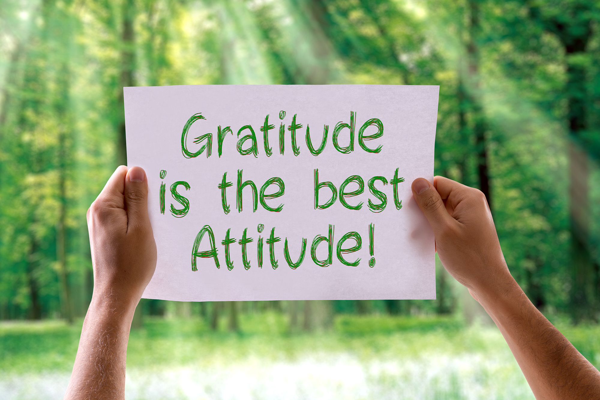 essay on gratitude is the best attitude