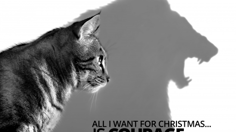 All I want for Christmas… is courage by Jessica Huie