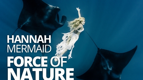 Hannah Mermaid – Force of Nature by The Best You