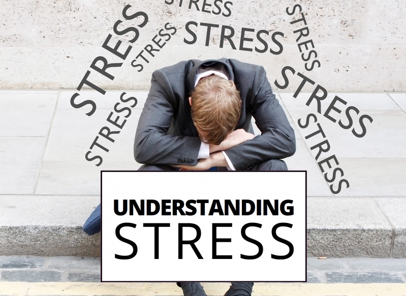 understand stress