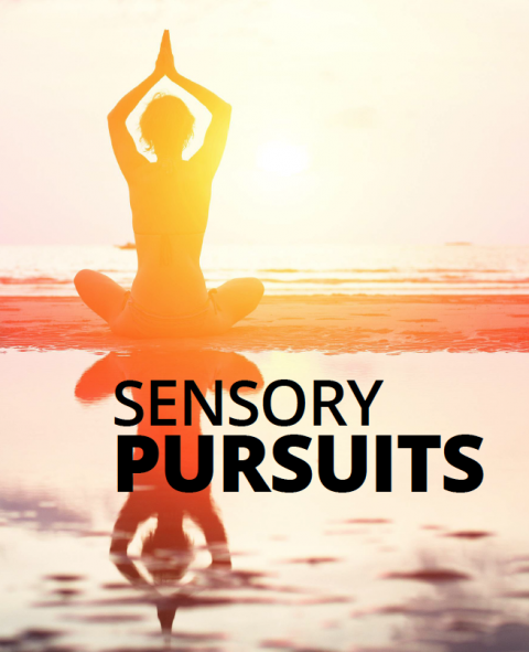 Sensory pursuits by Sam Red