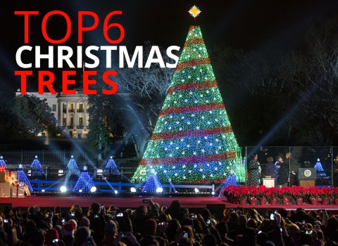 Top 6… Christmas trees by The Best You