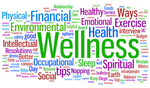 The Best You’s Wellness in the Workplace survey 2013