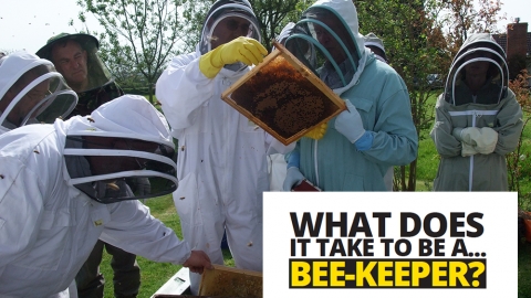 What does it take to be a… beekeeper by Tim Lovett