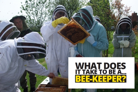 What does it take to be a… beekeeper by Tim Lovett